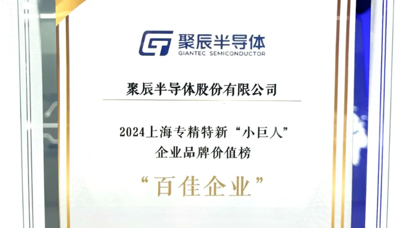 必一B-Sports半导体入选2024上海专精特新“小巨人”企业品牌价值榜